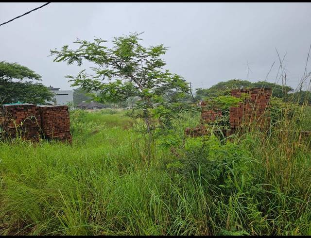 LAND FOR SALE IN THOHOYANDOU